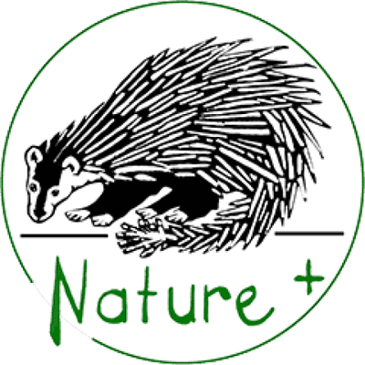 Portfolio Grid Projets web | Nature+